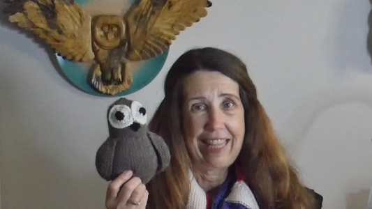 A Shark, an Owl & a Race, Episode 34