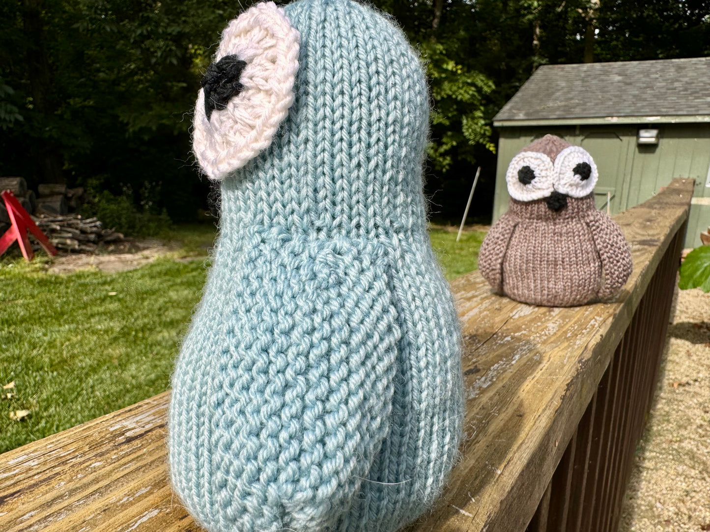 Jeanie the Wise Owl
