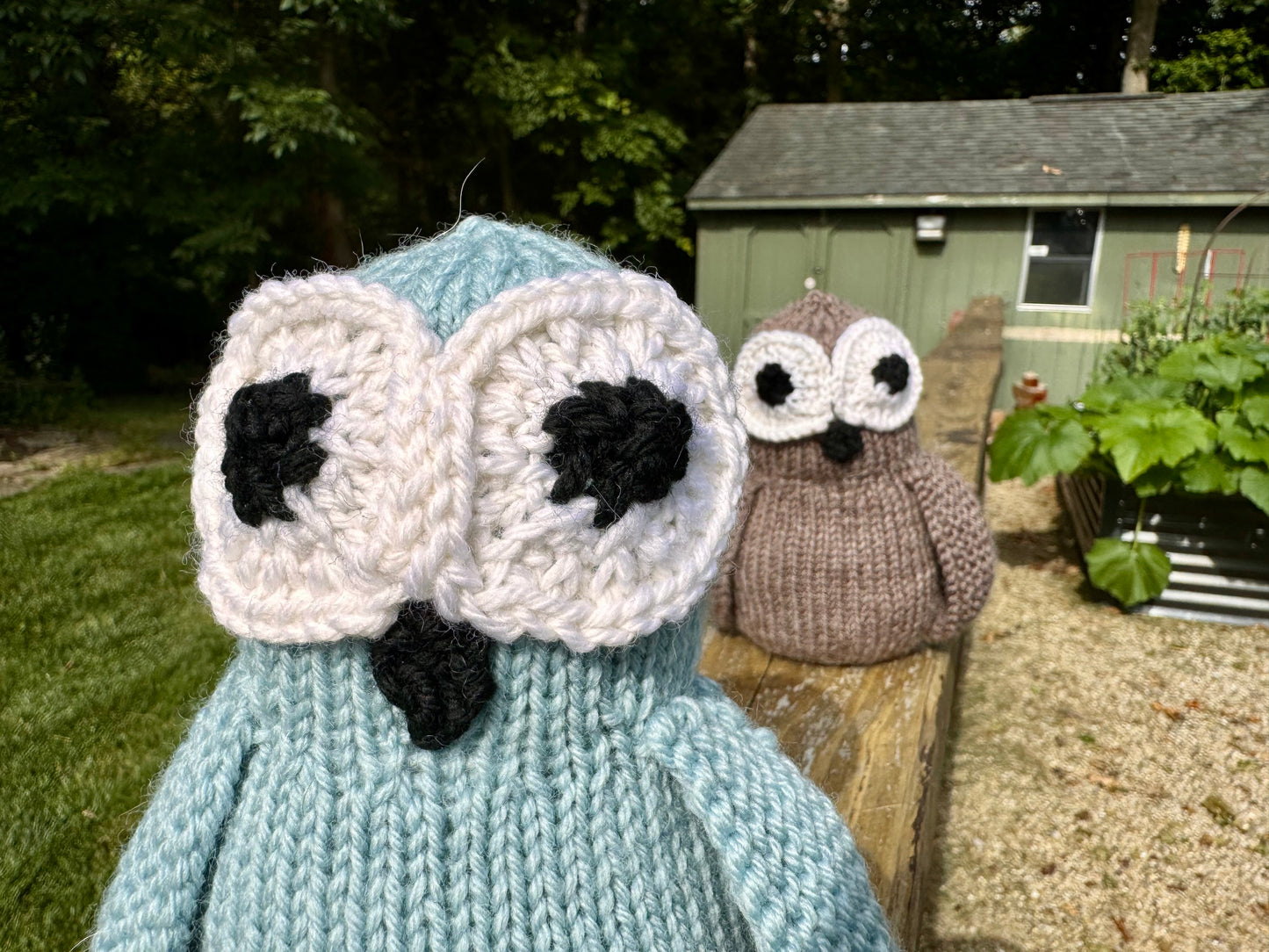 Jeanie the Wise Owl