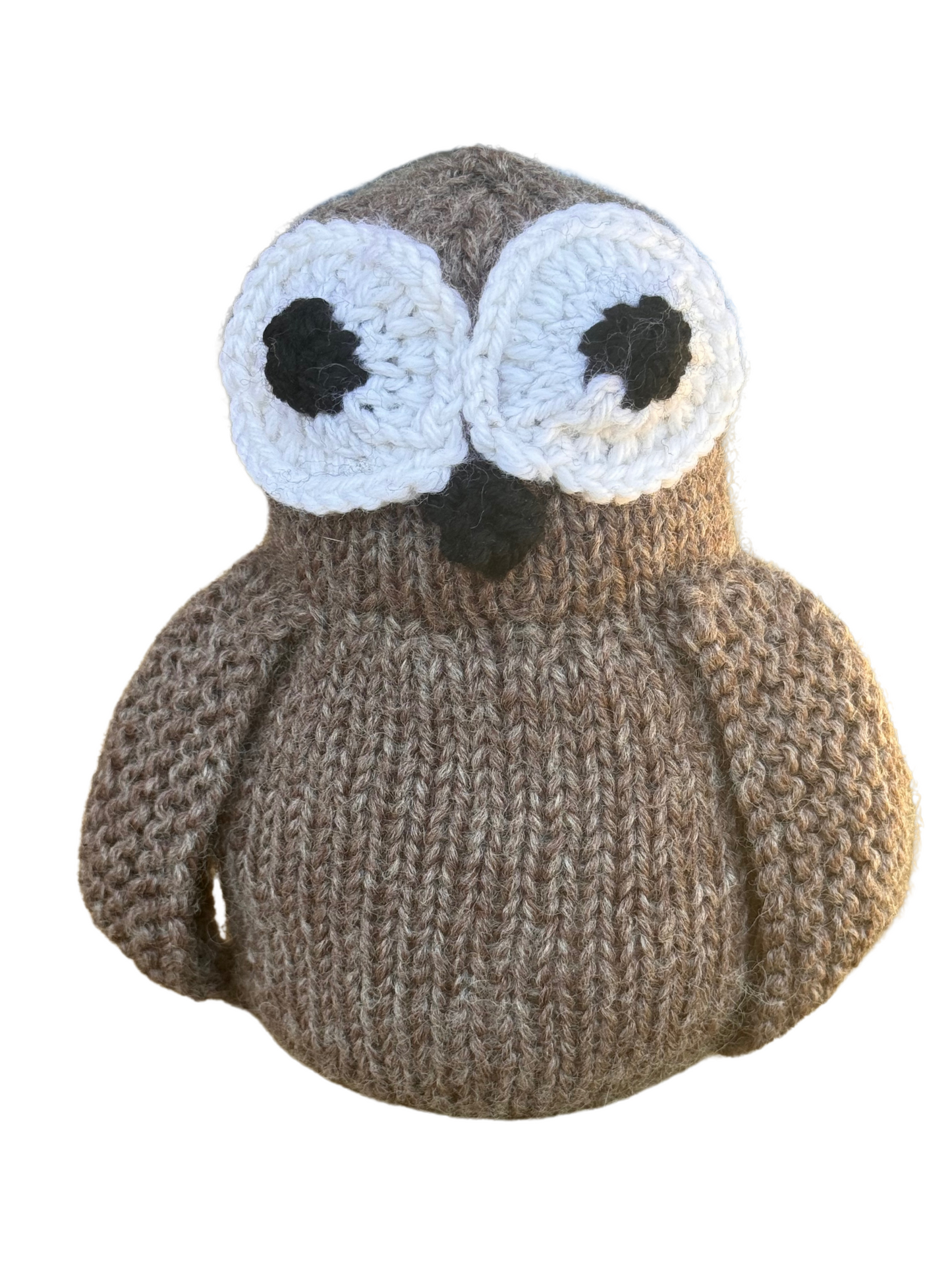 Jeanie the Wise Owl