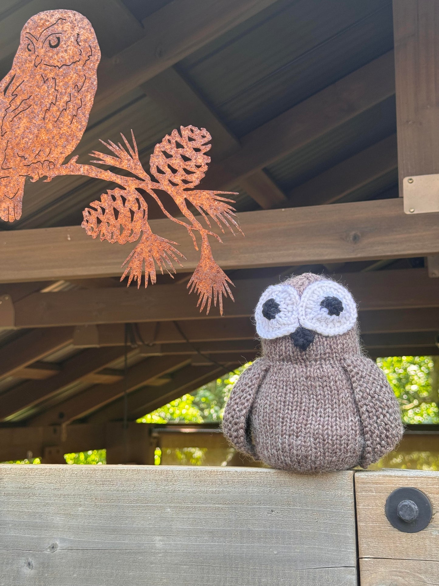 Jeanie the Wise Owl