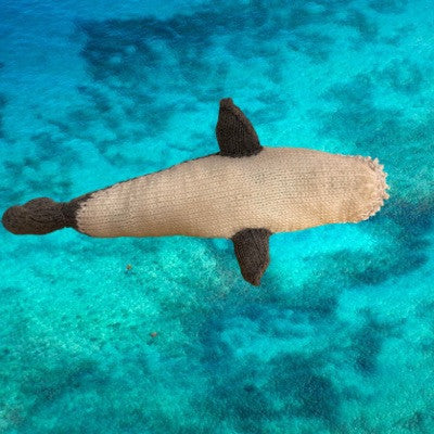 Sharkey