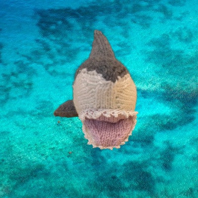 Sharkey