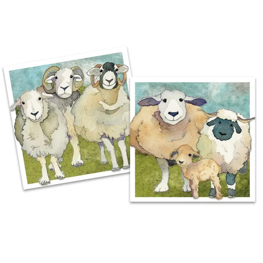 Felted Sheep Mini Cards