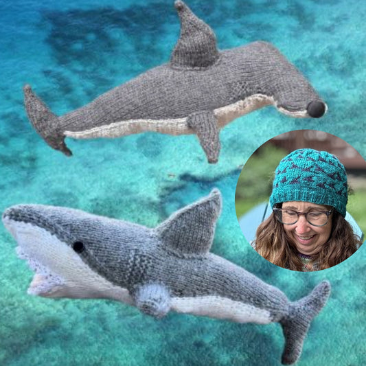All Things Shark