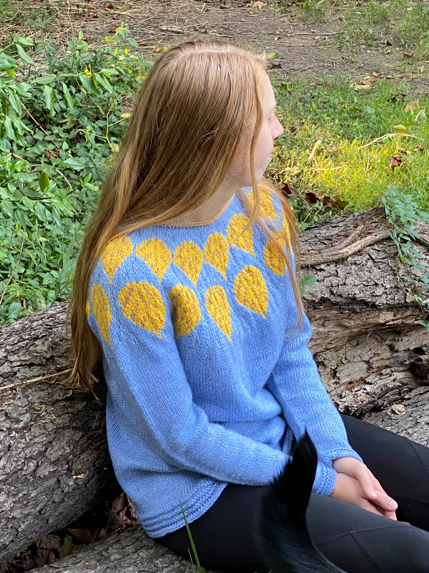 Aspen Pullover